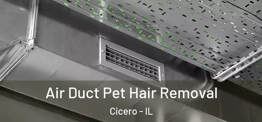  Air Duct Pet Hair Removal Cicero - IL