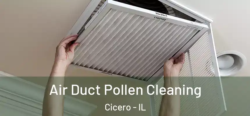  Air Duct Pollen Cleaning Cicero - IL