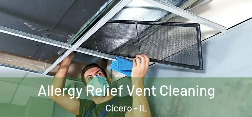 Allergy Relief Vent Cleaning Cicero - IL