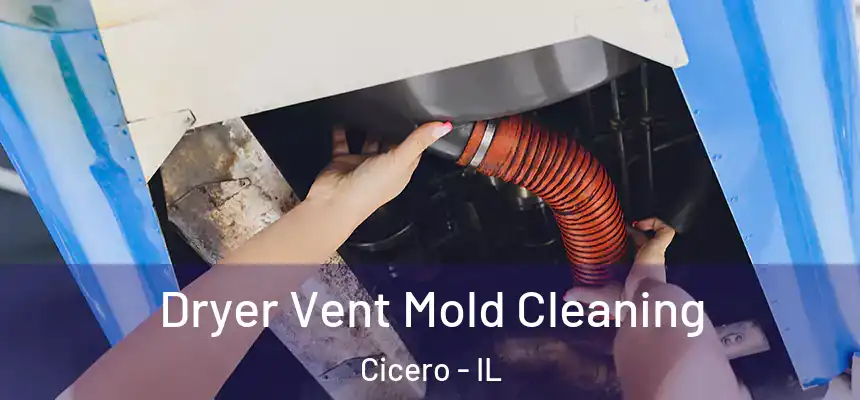 Dryer Vent Mold Cleaning Cicero - IL