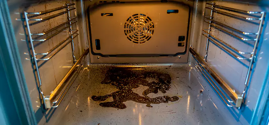 Our Dryer Vent Mold Cleaning Services in Cicero, IL