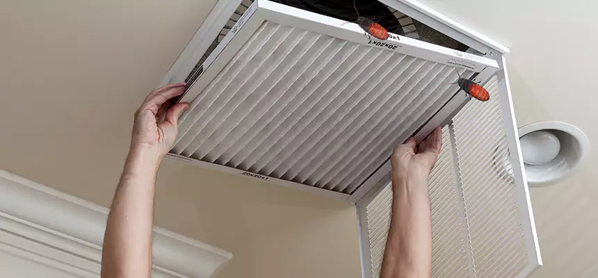 Our Insect Removal from Air Ducts Services in Cicero, IL