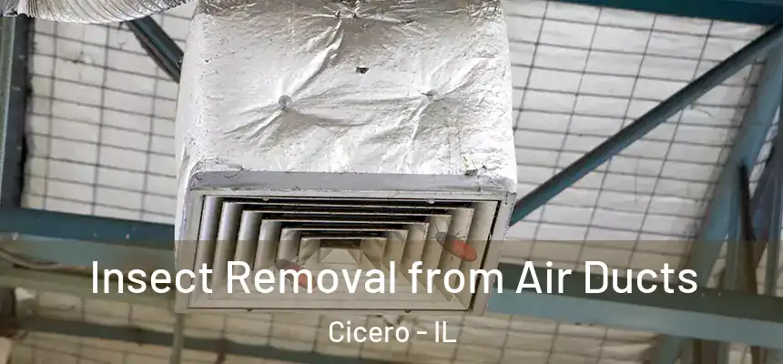 Insect Removal from Air Ducts Cicero - IL