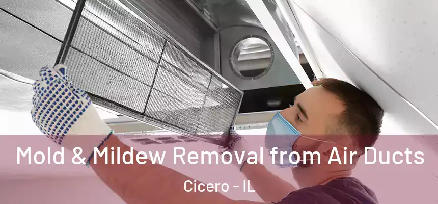  Mold & Mildew Removal from Air Ducts Cicero - IL