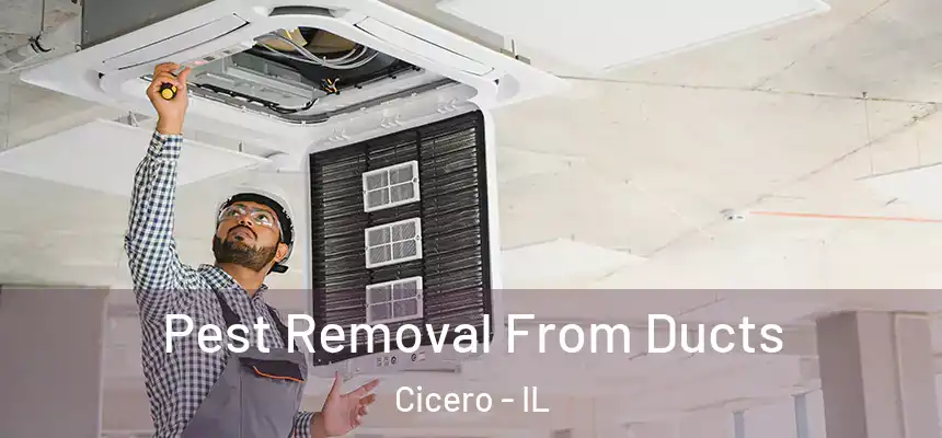 Pest Removal From Ducts Cicero - IL
