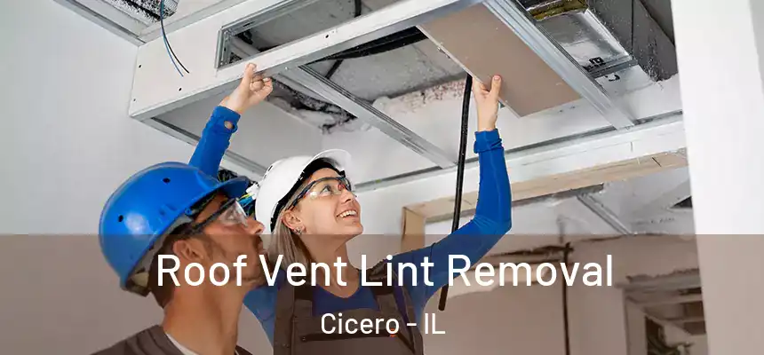 Roof Vent Lint Removal Cicero - IL