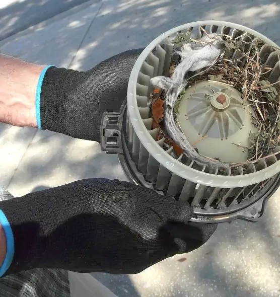 About Air Duct Mice Removal in Cicero, IL