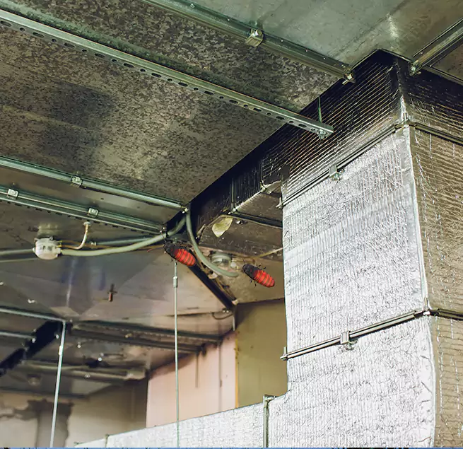 Why Homeowners & Businesses Trust Us in Cicero, IL?