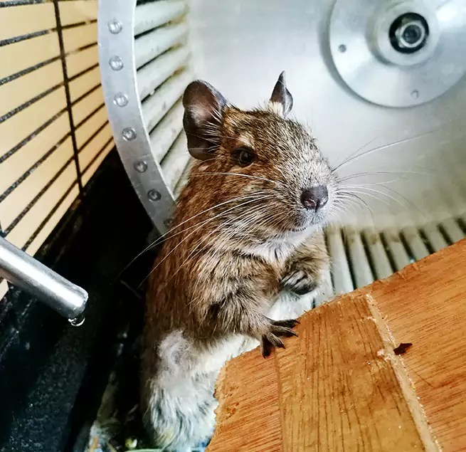 Why Homeowners & Businesses Trust Us Cicero, IL?