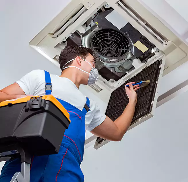 Why Homeowners & Businesses Trust Us in Cicero, IL