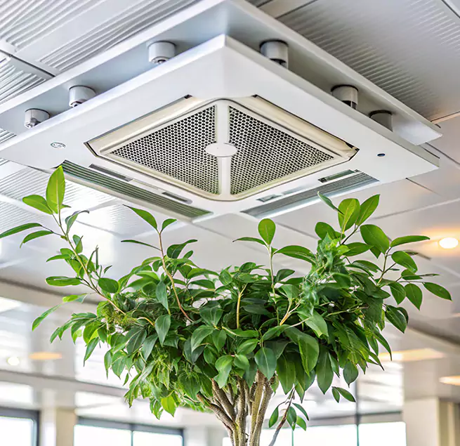 Why Homeowners & Businesses Trust Us in Cicero, IL?