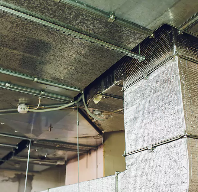 Why Homeowners & Businesses Trust Us in Cicero, IL?